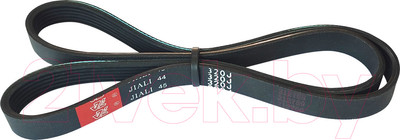 Ремень для станка БЕЛМАШ 6PJ813