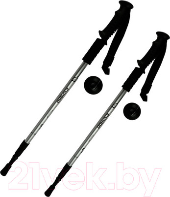 Палки для скандинавской ходьбы Espado ENW-003 (серебристый)