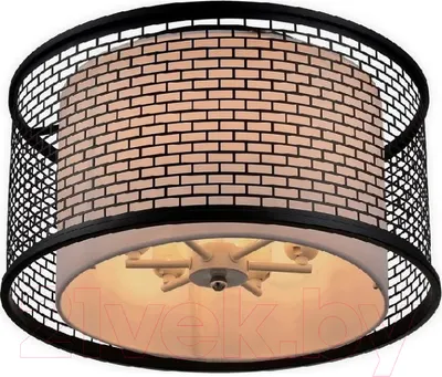 Потолочный светильник Lussole Loft 71 LSP-9676