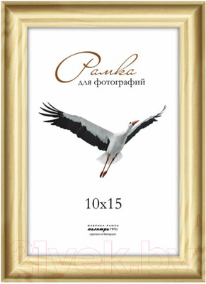 Рамка ПАЛИТРА Д17С 10x15