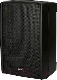 Сценический монитор Biema B2-110-power