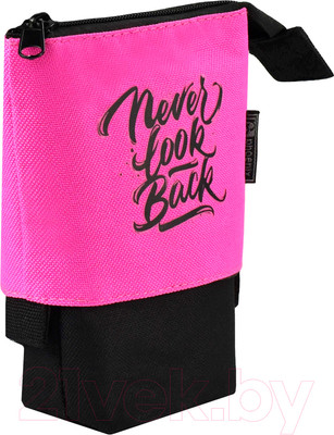 Пенал Феникс+ 58376