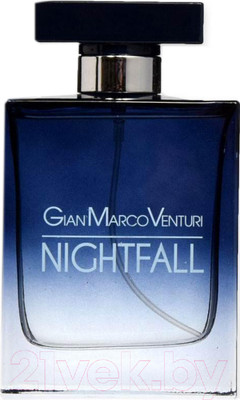 Парфюмерная вода Gian Marco Venturi Nightfall (100мл)