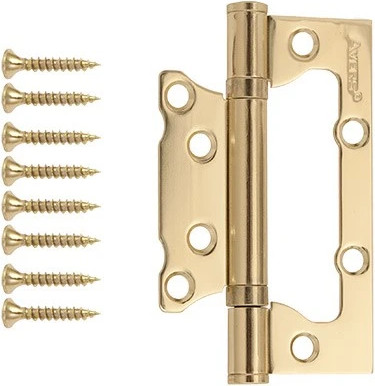 Петля дверная Avers 100x63x2-B2-G