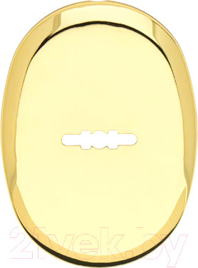 Накладка под сувальдный ключ Apecs DP-11-S-G