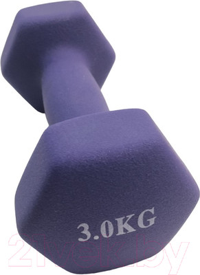 Гантель Gold Cup 3кг (фиолетовый)