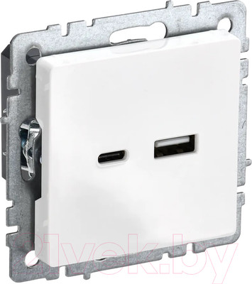 Розетка IEK Brite BR-U22-018-K01 (белый)