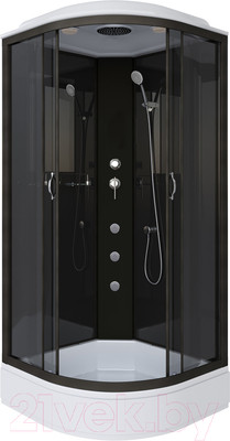 Душевая кабина Niagara NG-6501-14G 90x90x215 (тонированное стекло/черный)