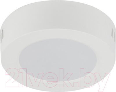 Точечный светильник ЭРА LED 19-12-4K / Б0057447
