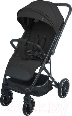Детская прогулочная коляска INDIGO Delta (черный)