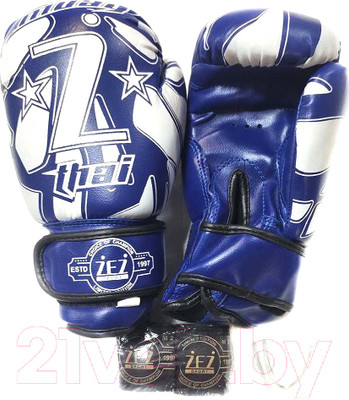 Набор для бокса детский ZEZ Sport Z-THAI-2-OZ