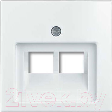 Лицевая панель ABB Basic 55 1753-0-0095 (белый)