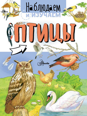 Энциклопедия АСТ Птицы. Наблюдаем и изучаем (Ткачева А.А.)