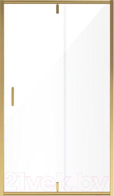 Душевая дверь Niagara NG-43-11AG 110x190