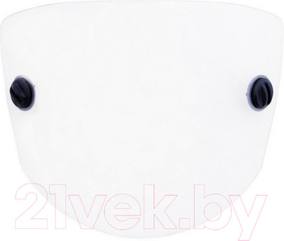 Стекло для сварочной маски РОСОМЗ Для щитка сварщика / 00630