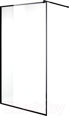 Душевая стенка Niagara NG-687-10 100x195 (черный)