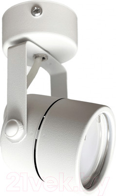 Спот Truenergy 21344