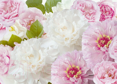 Фотообои листовые Prestige Престиж №52 (272x196)