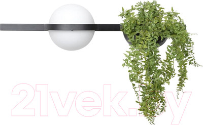 Бра Loftit Jardin 10121W/A