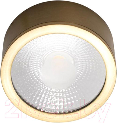 Потолочный светильник Loftit Solar 10187/A