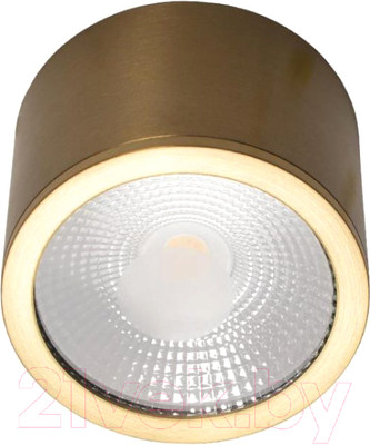 Потолочный светильник Loftit Solar 10187/B