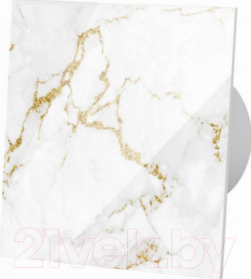 Решетка вентиляционная AirRoxy dRim C300-C185