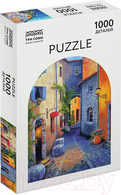 Пазл Три совы Реджо-ди-Калабрия, Италия / ПК1000_48379 (1000эл)