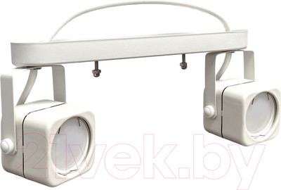 Спот Truenergy 21353