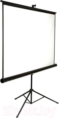 Проекционный экран Future Vision Tripod 220 / T220SMW (220x220)