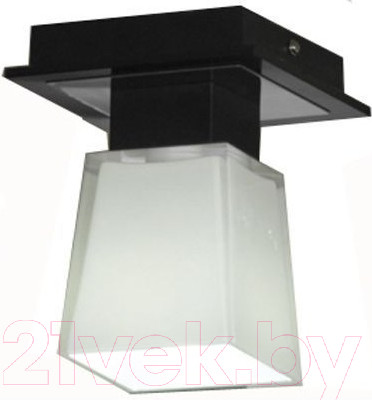Потолочный светильник Lussole Lente LSC-2507-01