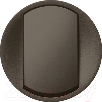 Лицевая панель Legrand Celiane 67901 (графитовый)