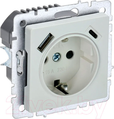 Розетка IEK Brite BR-R14-16-U22-018-K36 (жемчуг)