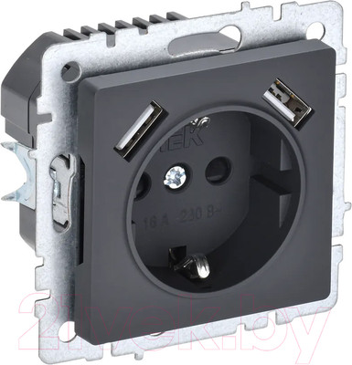 Розетка IEK Brite BR-R14-16-U21-D21-K53 (графит)