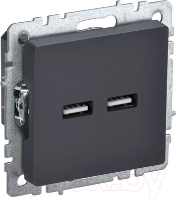 Розетка IEK Brite BR-U21-D31-K53 (графит)