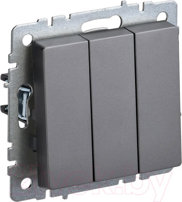 Выключатель IEK Brite BR-V30-0-10-K46 (сталь)