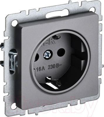 Розетка IEK Brite BR-R11-16-K46 (сталь)