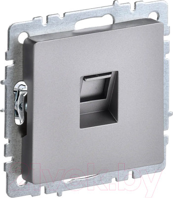 Розетка IEK Brite BR-K10-1-K46 (сталь)