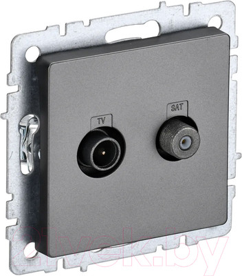 Розетка IEK Brite BR-AF20-O-K46 (сталь)