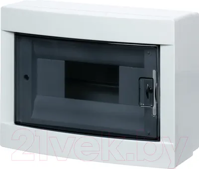 Бокс пластиковый TDM SQ0920-0004