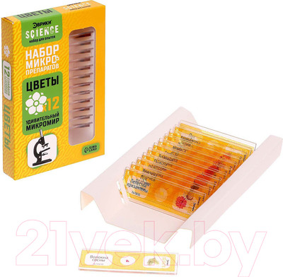 Набор микропрепаратов Эврики Набор микропрепаратов / 7670830