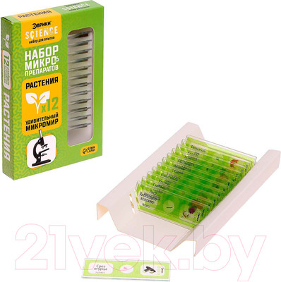 Набор микропрепаратов Эврики Набор микропрепаратов / 7670832