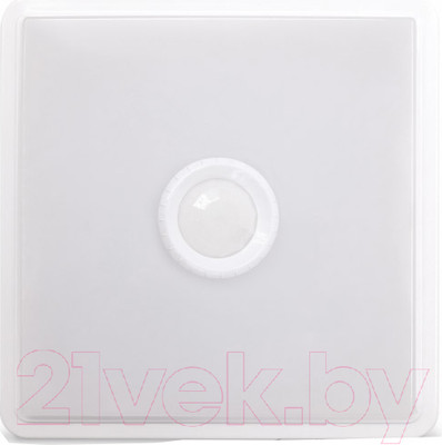 Светильник ЖКХ INhome СПБ-2Д-Квадрат / 4690612022086