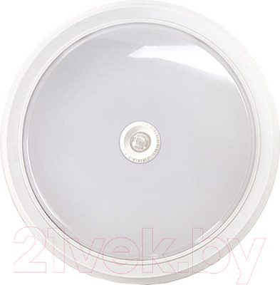 Светильник ЖКХ INhome СПБ-2Д-Круг / 4690612020716