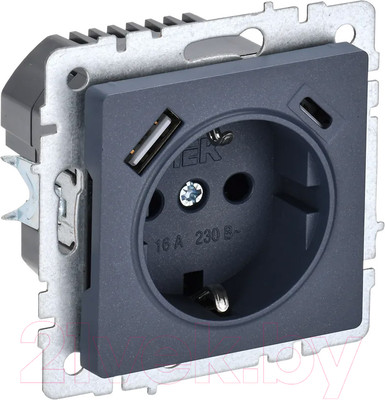 Розетка IEK Brite BR-R14-16-U22-018-K35 (маренго)