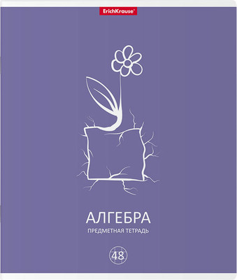 Тетрадь предметная Erich Krause Simple Link. Алгебра / 59494 (48л)