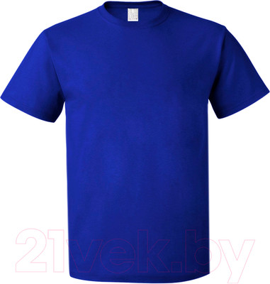 Футболка Sardoba Tekstil Х/б 160гр (M, василек)