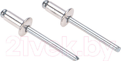 Набор заклепок Rexant 4.8x14мм / 12-5365 (50шт)