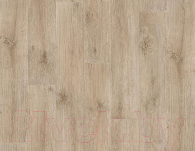 Линолеум Tarkett Kvazar Алматы 1 (2.5x1.5м)