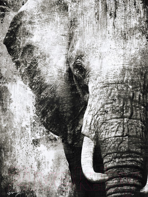 Картина Декарт Слон 8Л0586 (в раме)