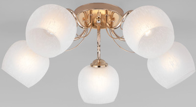 Люстра Евросвет Wendy 30138/5 (золото)